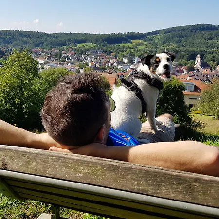 מלון Nora באד קרוצינגן